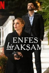 Восхитительный вечер